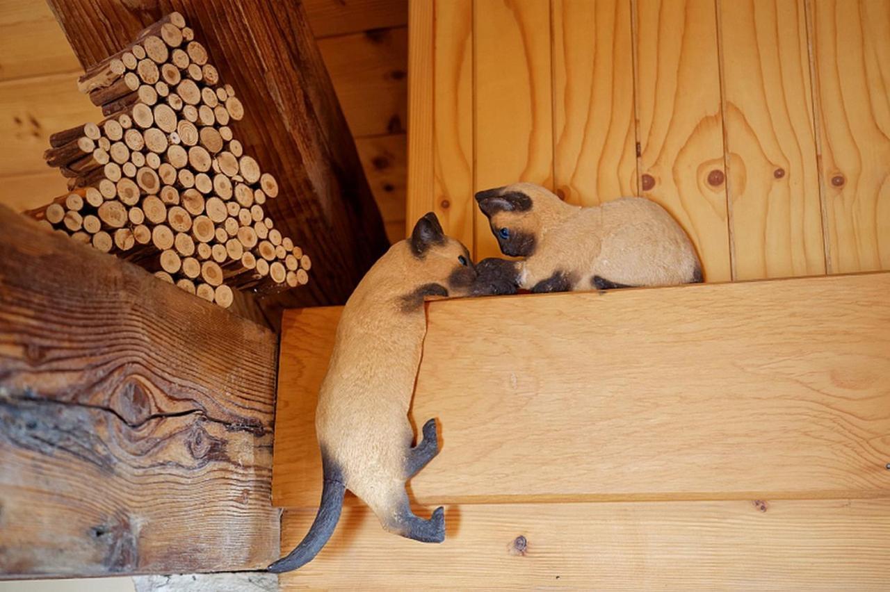 모르비에 Chalet Le Petit Jura 빌라 외부 사진